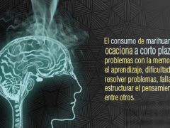 cerebro