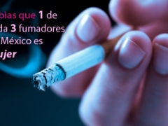 sabiasque01-5