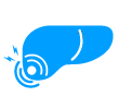 Hepatitis