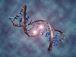 Metilación de ADN. Imagen de Christoph Bock, Instituto de Informática Max Planck