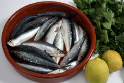 sardinas-i