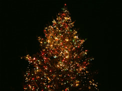 arbol-de-navidad-I