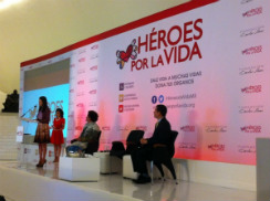 heroes vida-I