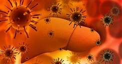 Hepatitis - Factores y prácticas que la promueven.2