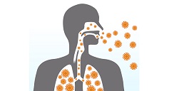microbiota-nasal.2