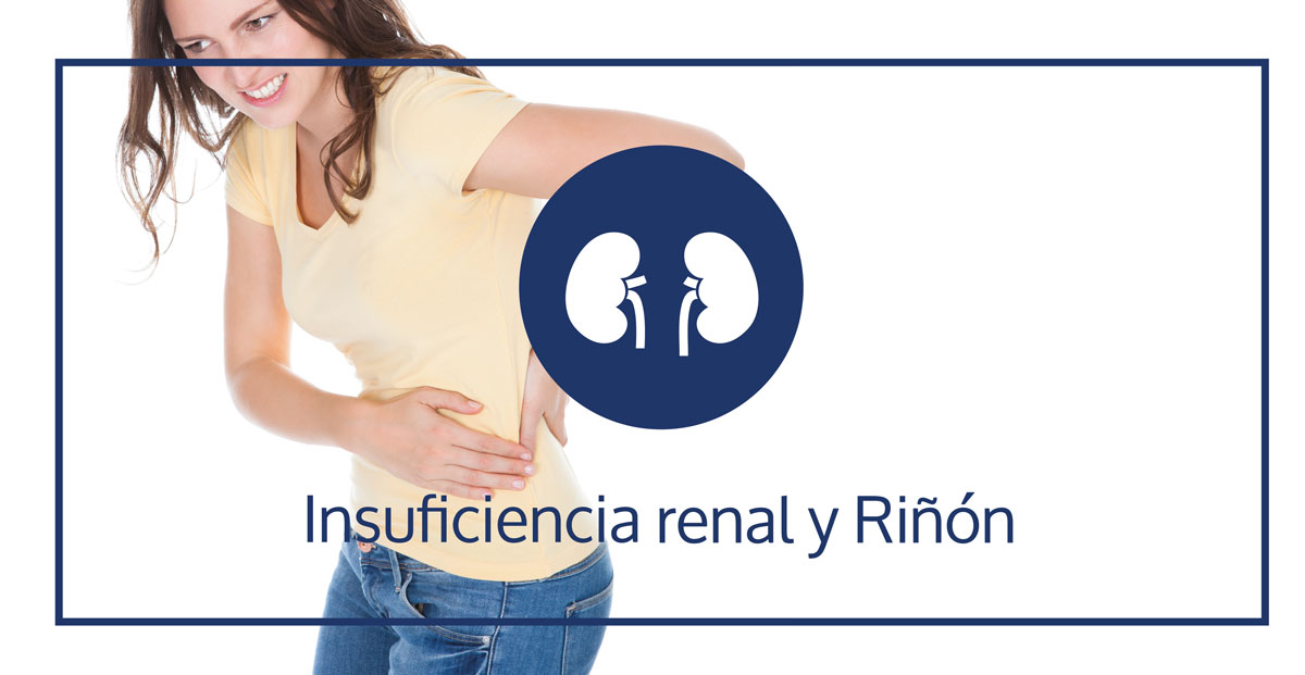 ¿Por qué se enferman los riñones? - ClikiSalud.net | Fundación Carlos Slim