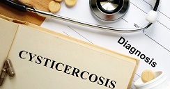 cisticercosis-2