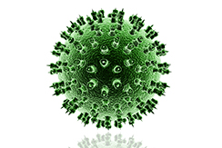 virus-herpes-modificado-2015-2