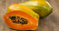 Papaya