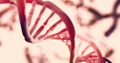 Padecimientos crónicos ADN
