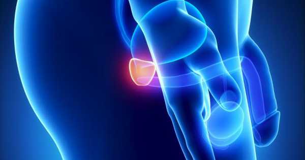 Una prostatitis no atendida “puede tener complicaciones importantes”:  experto - ClikiSalud.net | Fundación Carlos Slim