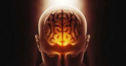 Golpearse la cabeza puede afectar funcionamiento cerebral; 5 consejos