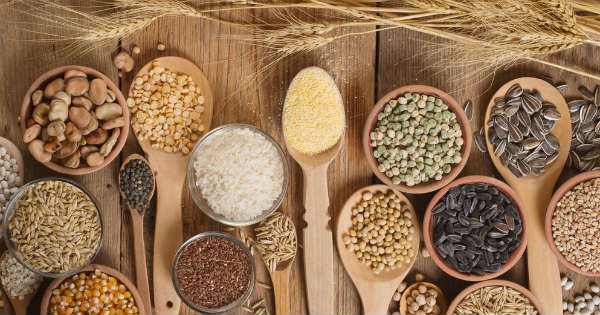 Diligencia helado Composición 10 semillas que debes incluir en tu dieta - ClikiSalud.net | Fundación  Carlos Slim