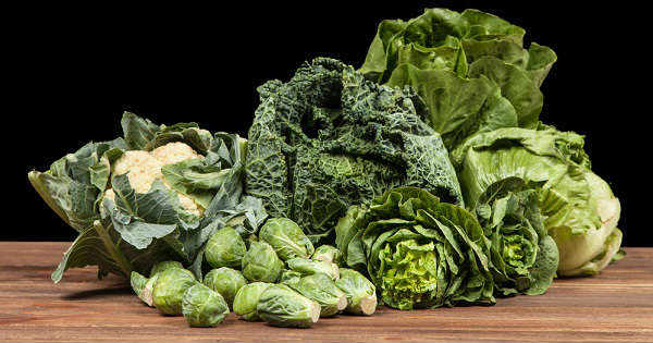 Ventajas de comer verduras de hoja verde para el cerebro de adultos mayores