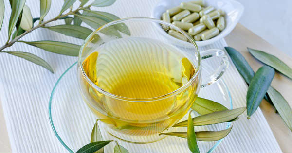 4 posibles beneficios a la salud del extracto de hoja de olivo -  ClikiSalud.net | Fundación Carlos Slim