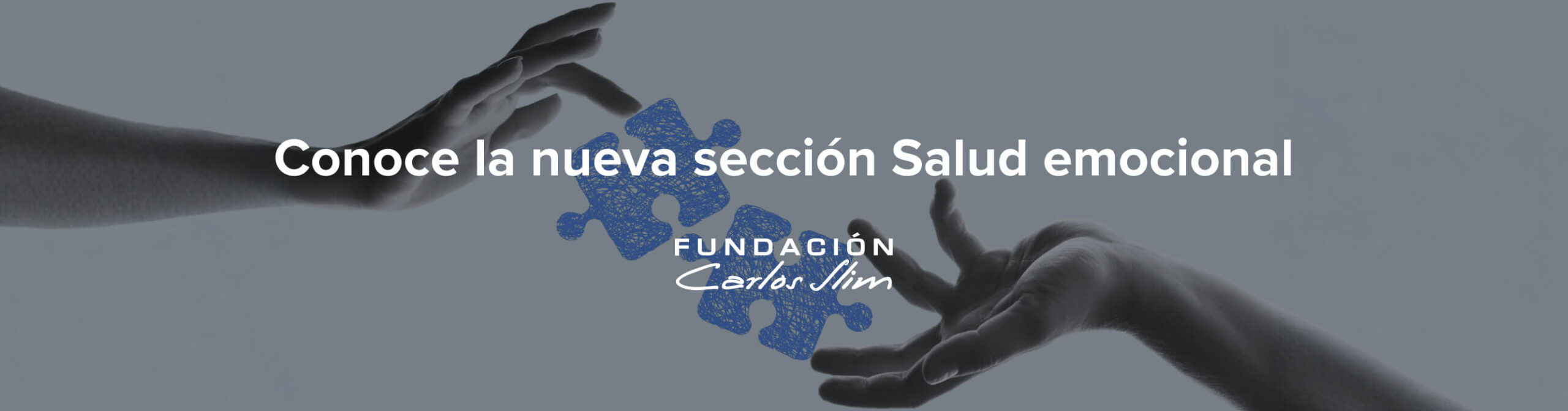 Sección de Salud emocional